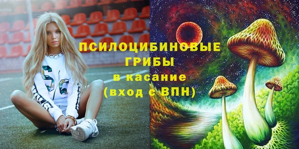 спайс Няндома