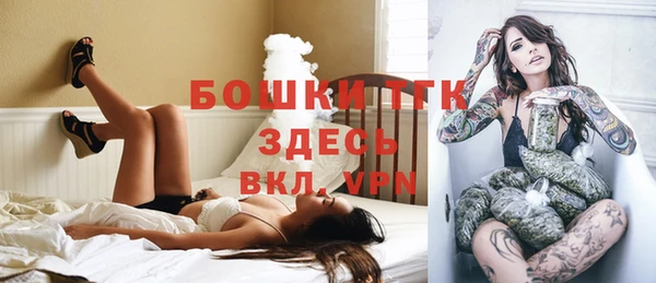 дурь Богданович