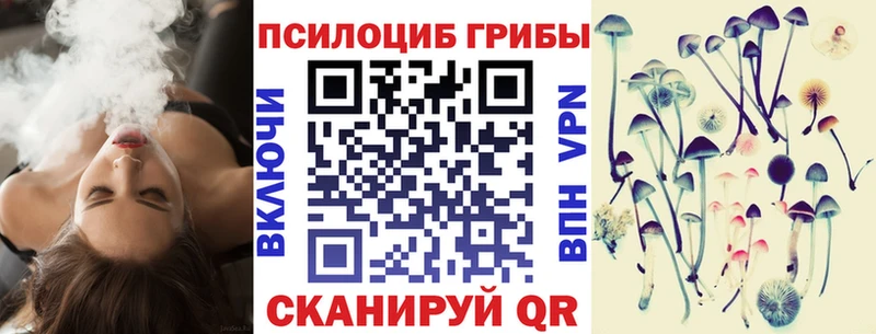MEGA ссылки  где купить наркотик  Ахтубинск  Псилоцибиновые грибы Psilocybe 
